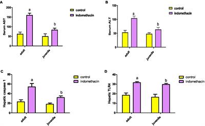 Unveiling the interplay between NSAID-induced dysbiosis and autoimmune liver disease in children: insights into the hidden gateway to autism spectrum disorders. Evidence from ex vivo, in vivo, and clinical studies